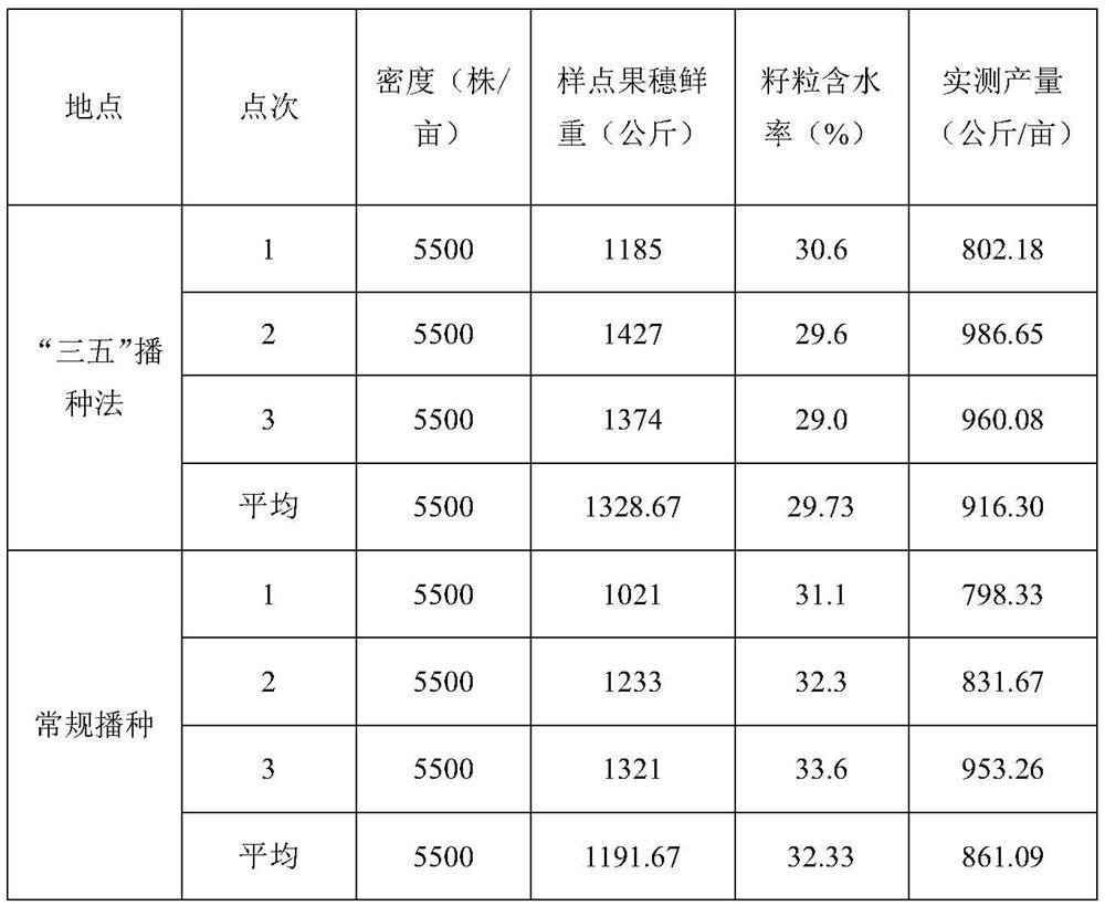 Corn early-sowing method in cold region humid area