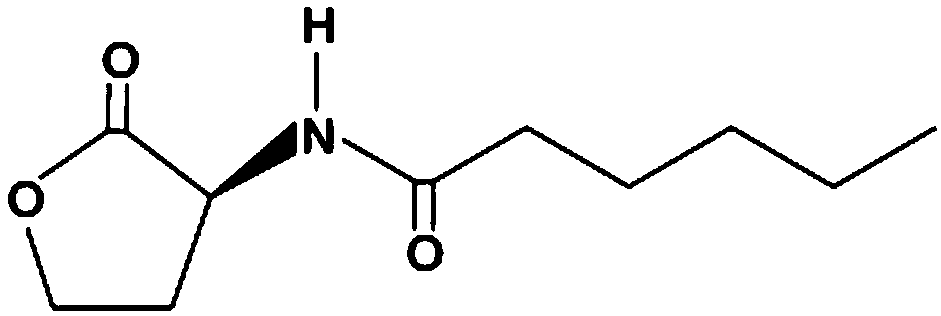 A device and operation method for rapidly forming anammox particles using quorum sensing mechanism