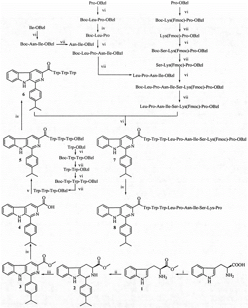 Trp-Trp-Trp decapeptide modified beta-carboline, and preparation, nanometer structure, activity and application thereof