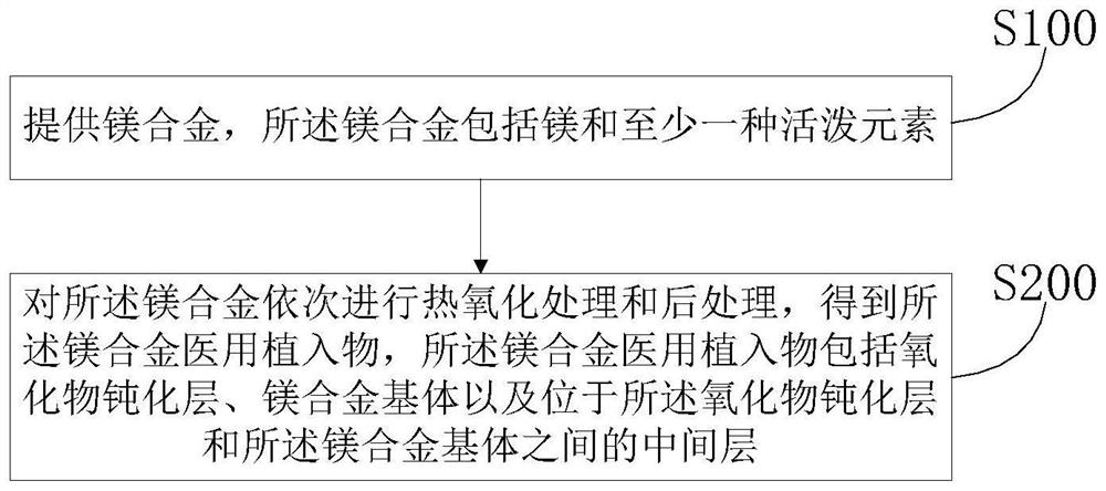 Magnesium alloy medical implant and preparation method thereof