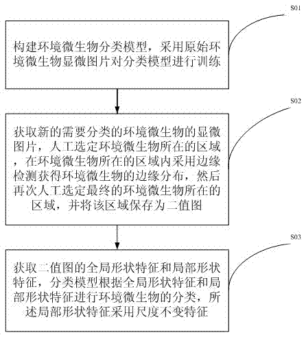 Method and system for classifying environmental microorganisms by image recognition technology