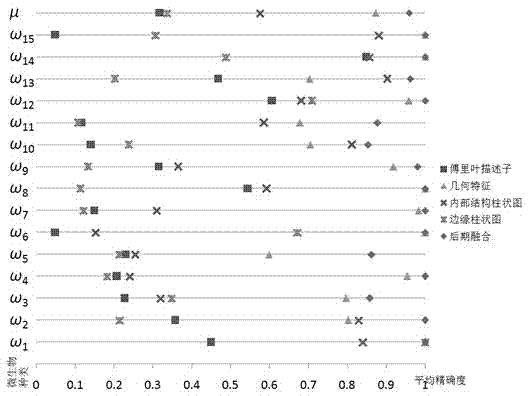 Method and system for classifying environmental microorganisms by image recognition technology