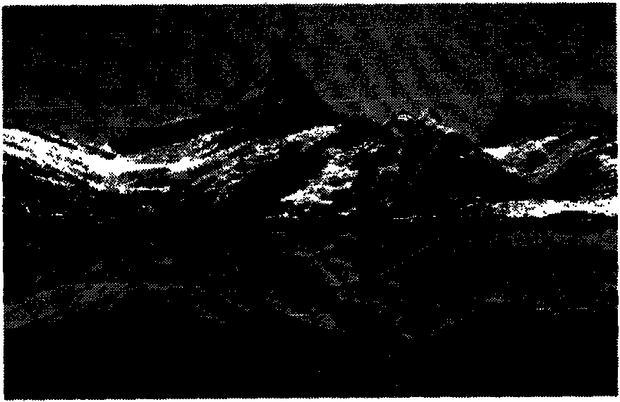 Method for extracting and describing image characteristics with turnover invariance