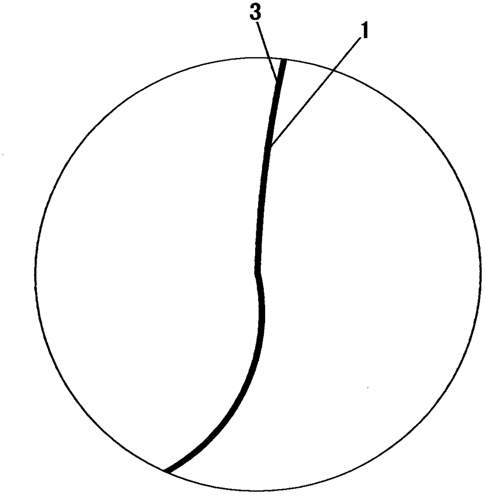 360-degree lighting bulb and processing method thereof