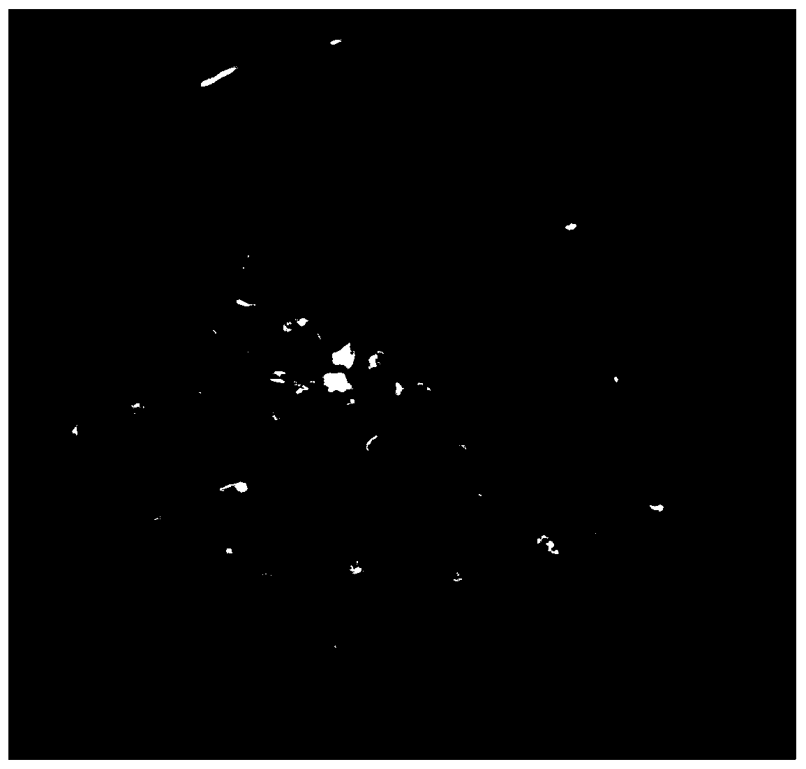 Method for acquiring regeneration plant by Camellia chekiangoleosa Hu anther culture