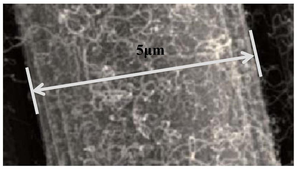 One-dimensional carbon fiber/carbon nanotube composite material, its preparation method and application