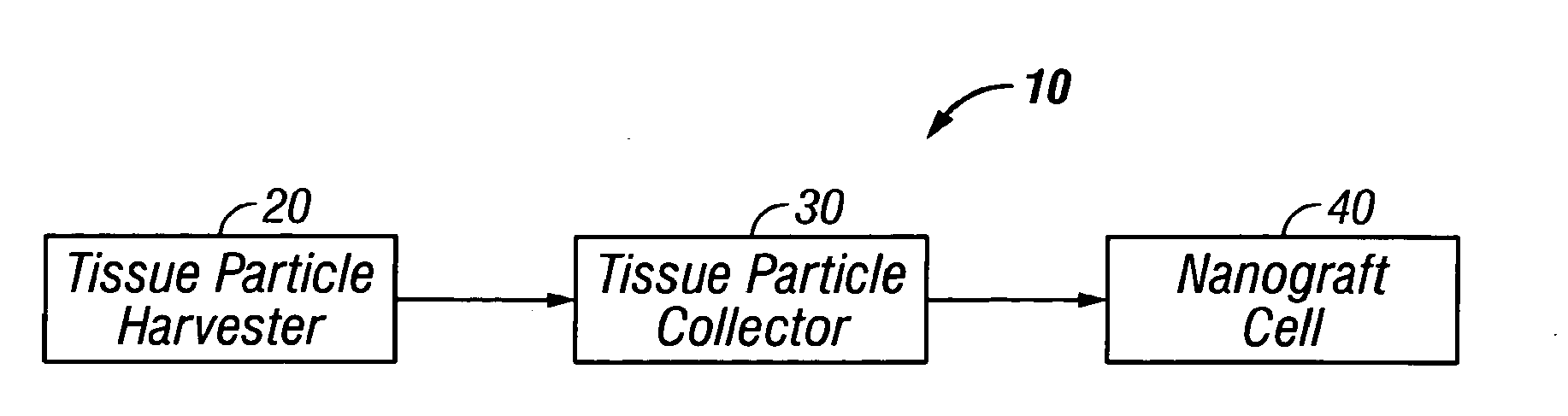 System and method for transplantation of dermal tissue