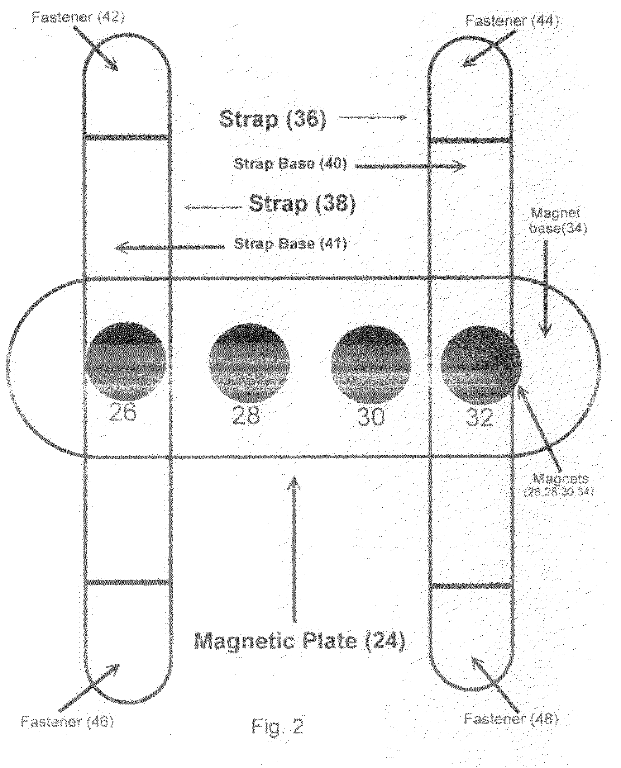 Magnetic shoe-drying apparatus