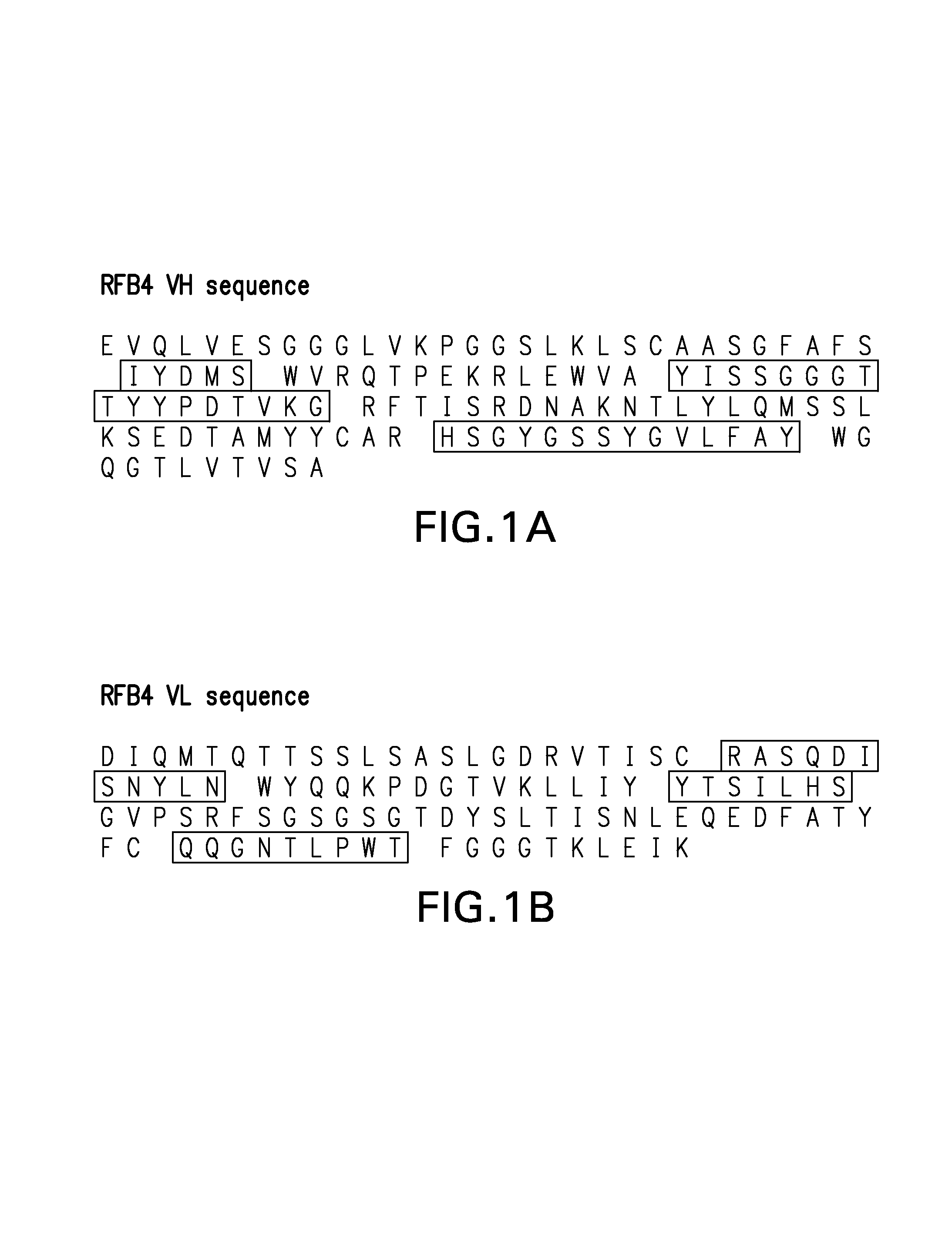 Framework-patched immunoglobulins