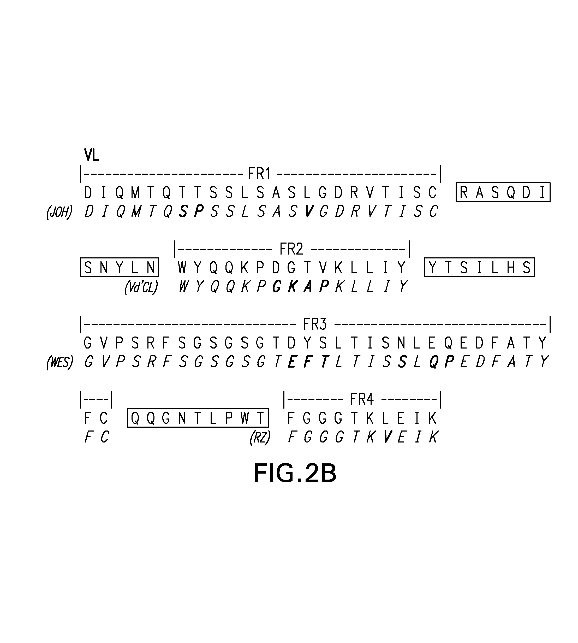 Framework-patched immunoglobulins