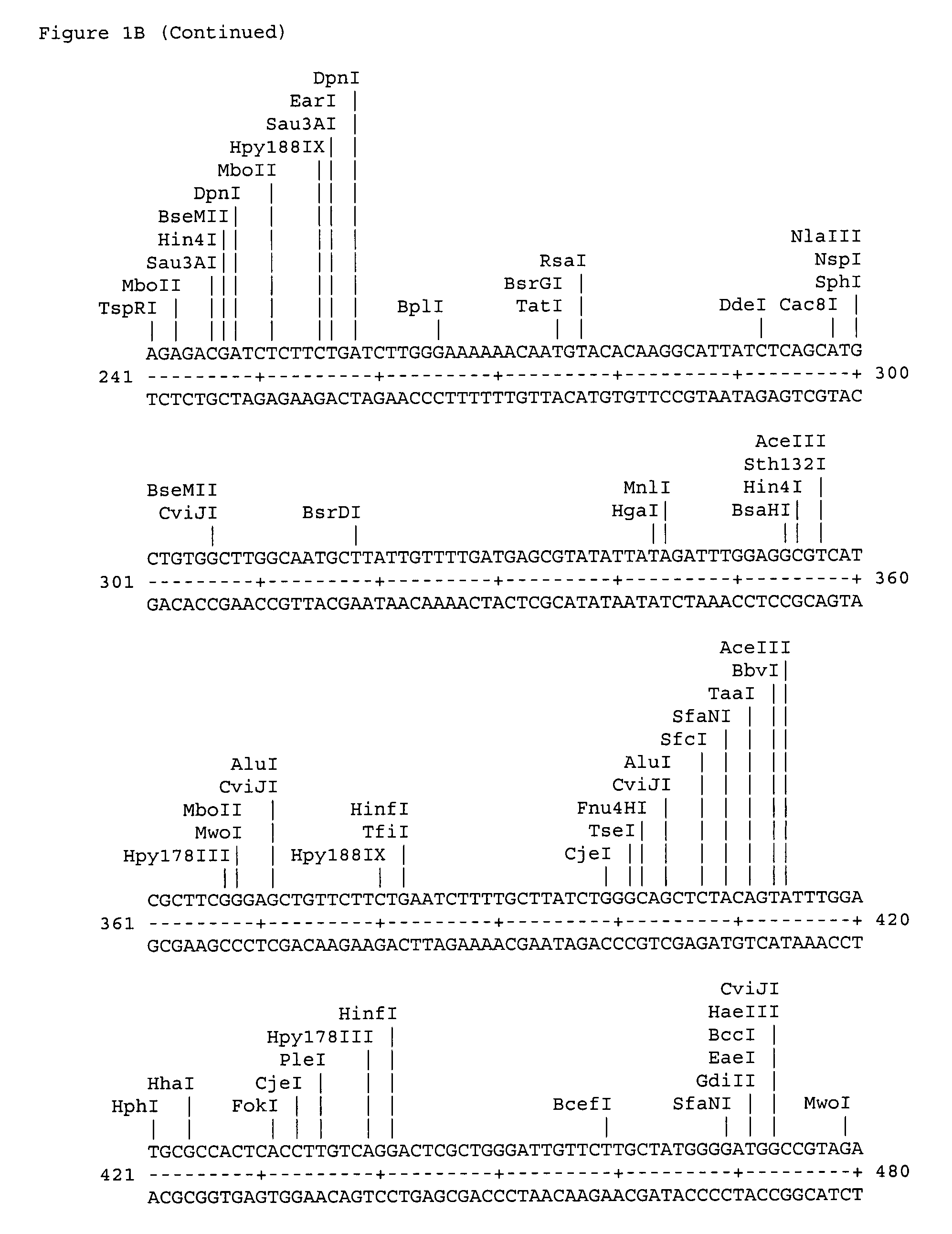 Chlamydia flagellar protein antigen