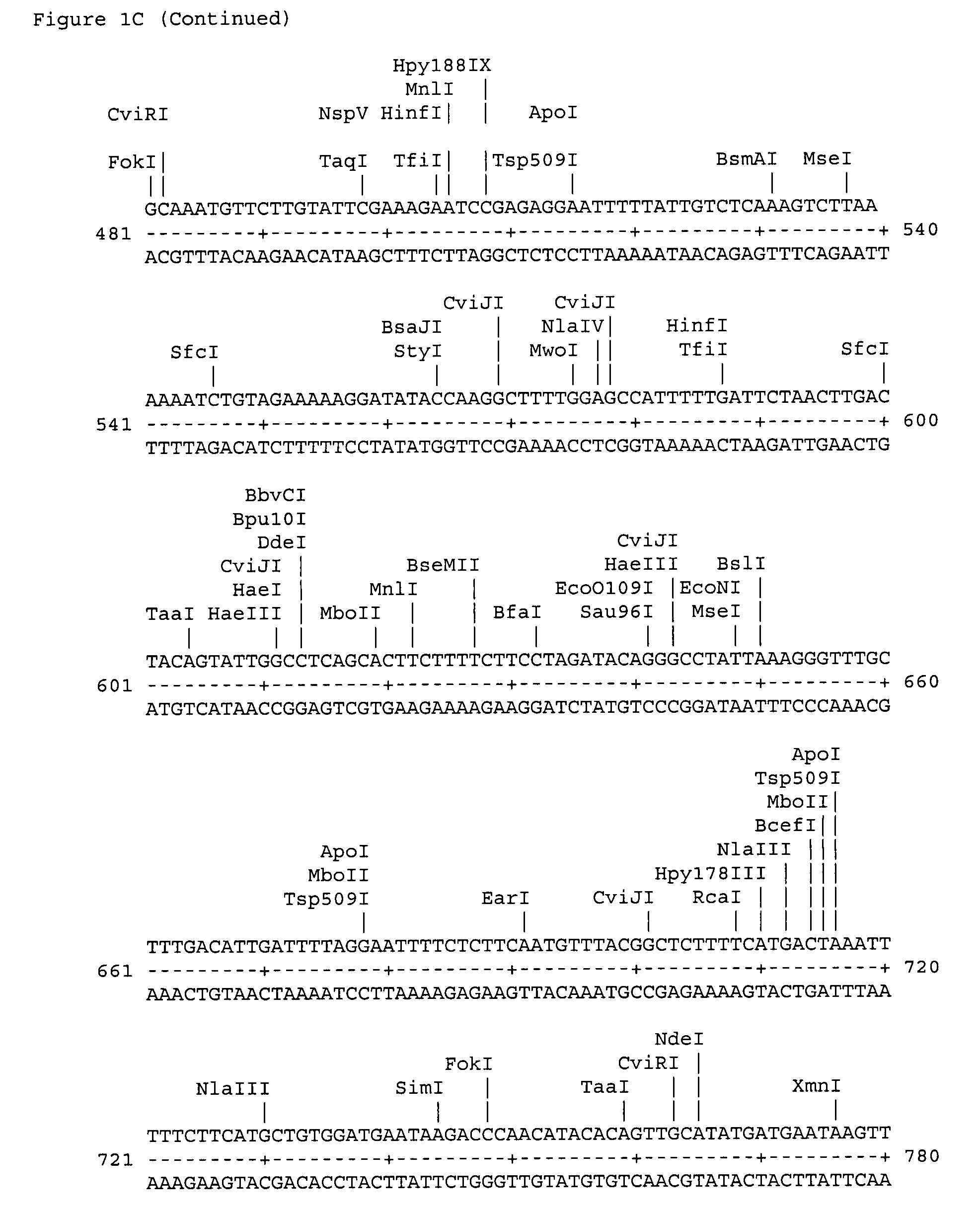 Chlamydia flagellar protein antigen