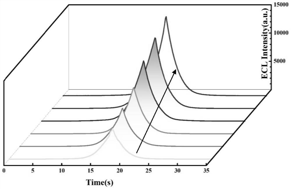 Electrochemical luminescence aptamer sensor for specifically detecting kanamycin as well as preparation method and application of electrochemical luminescence aptamer sensor