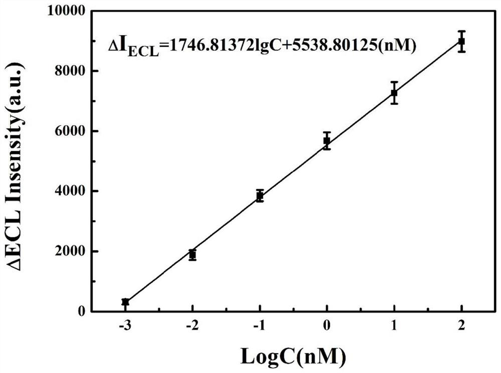 Electrochemical luminescence aptamer sensor for specifically detecting kanamycin as well as preparation method and application of electrochemical luminescence aptamer sensor