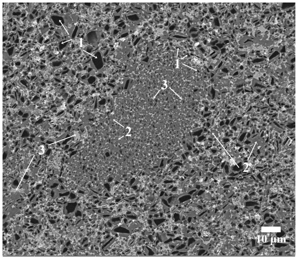 Ti (C, N)-based metal ceramic with honeycomb structure and preparation method of Ti (C, N)-based metal ceramic