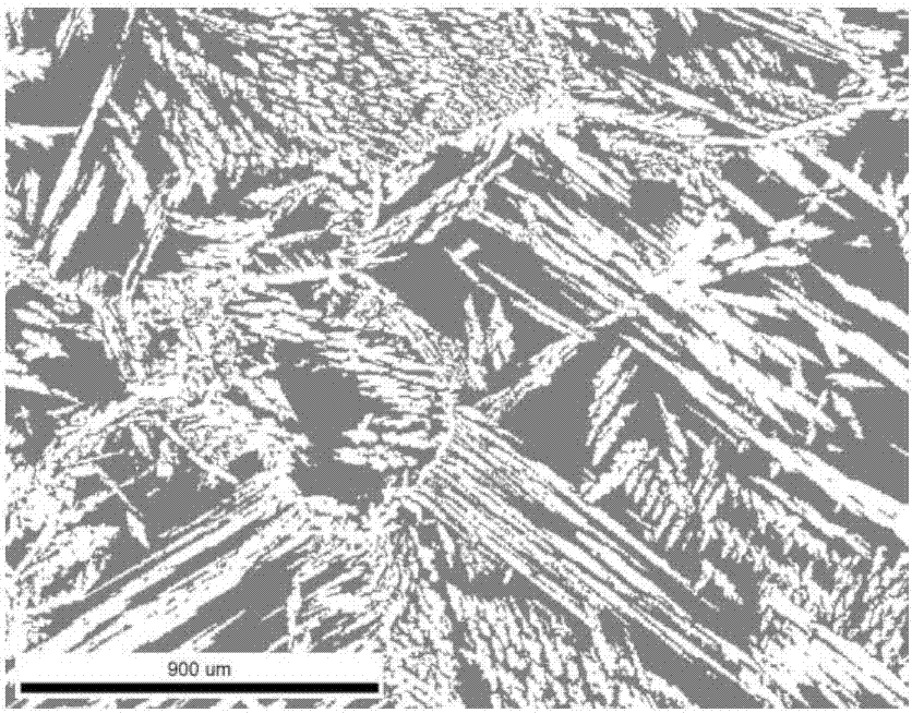 Analysis and detection method of two-phase proportion in as-cast structure of duplex stainless steel