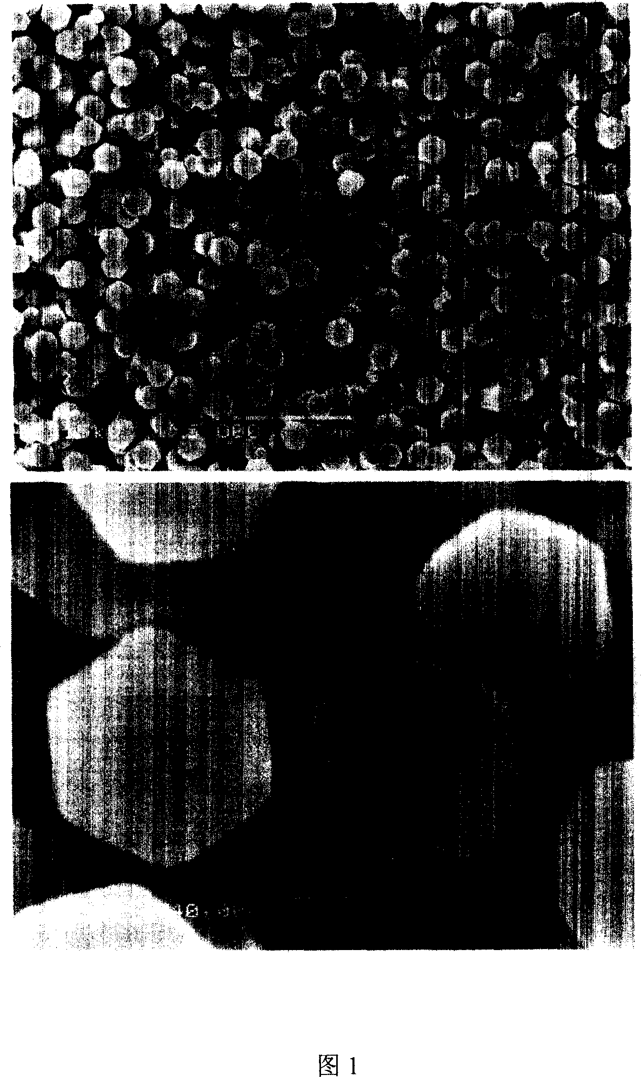 Preparation method of echo wall die laser cavity based on zinc oxide single crystal micronano dish