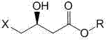 Preparation method of (S)-4-hydroxy-2-oxo-1-pyrrolidine acetamide