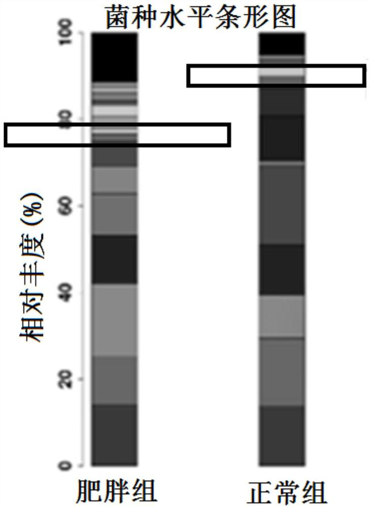 Milk-derived streptococcus salivarius for predicting infant obesity and separation method of milk-derived streptococcus salivarius