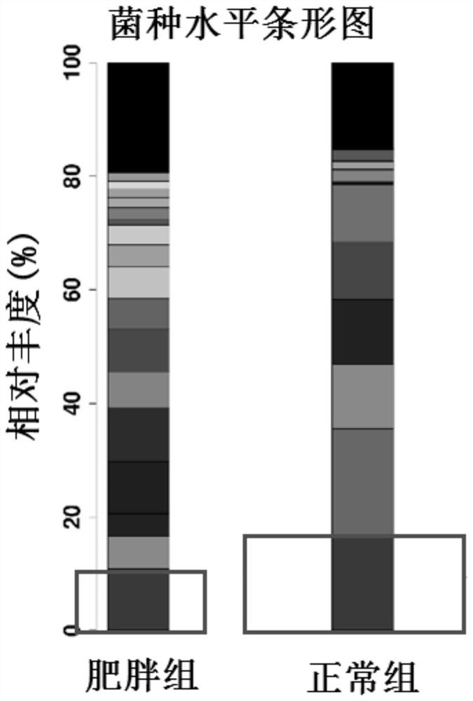 Milk-derived streptococcus salivarius for predicting infant obesity and separation method of milk-derived streptococcus salivarius