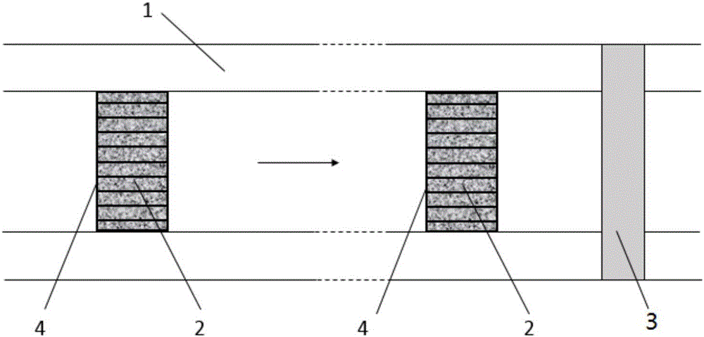 Ecological ditch with nitrogen and phosphorus removal function