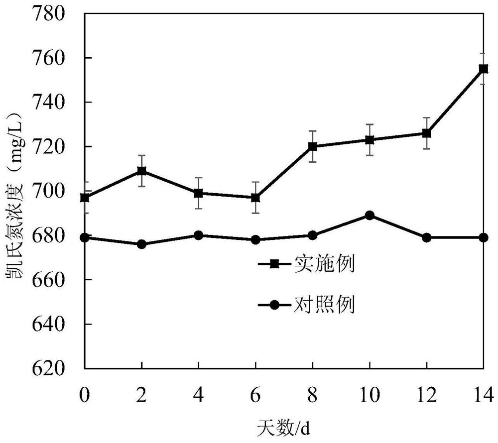 Salt-tolerant arthrobacter and nitrogen fixation application thereof