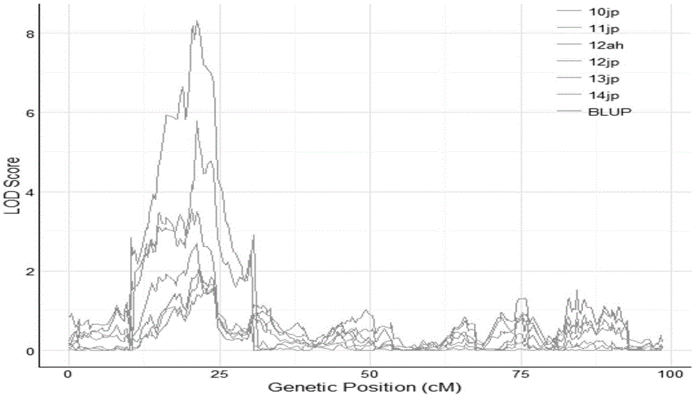 Molecular marker InDeL_33 of main-effect QTL (quantitative trait locus) of soybean hundred-grain weight and application of molecular marker InDeL_33