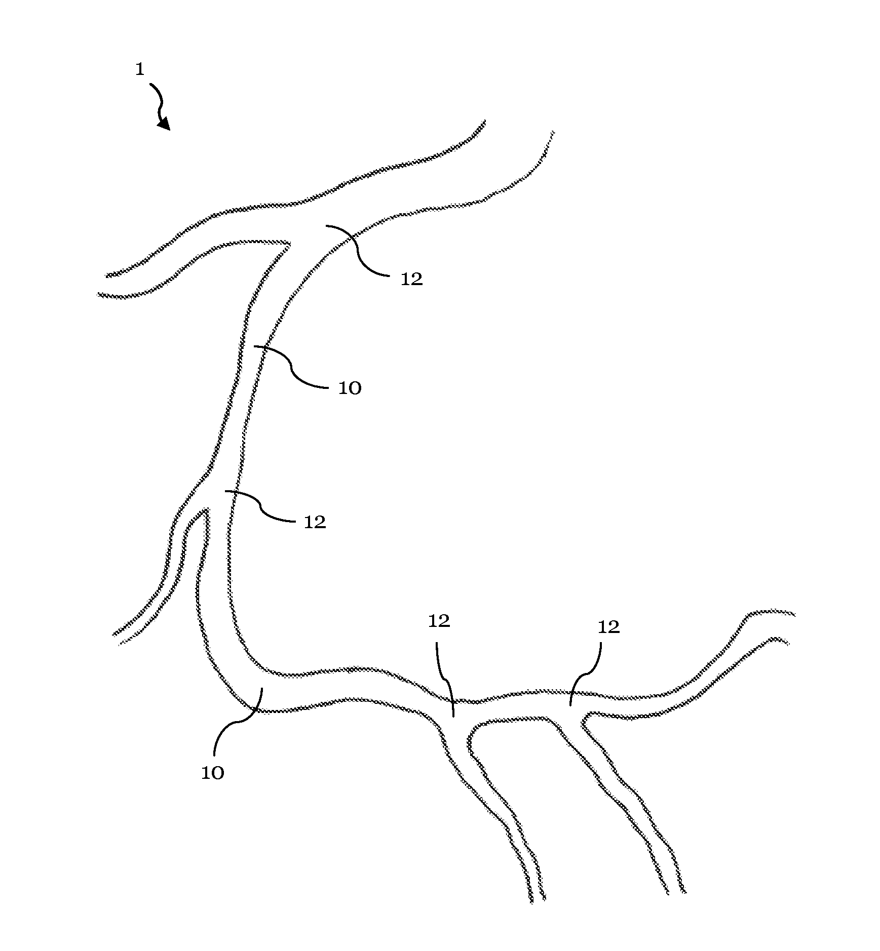 Vasculature modeling