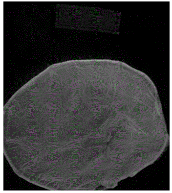 Visible light excited europium complex fluorescent film and preparation method therefor and application thereof