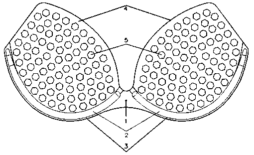 A bra, its preparation method, a bra using the bra, and its preparation method