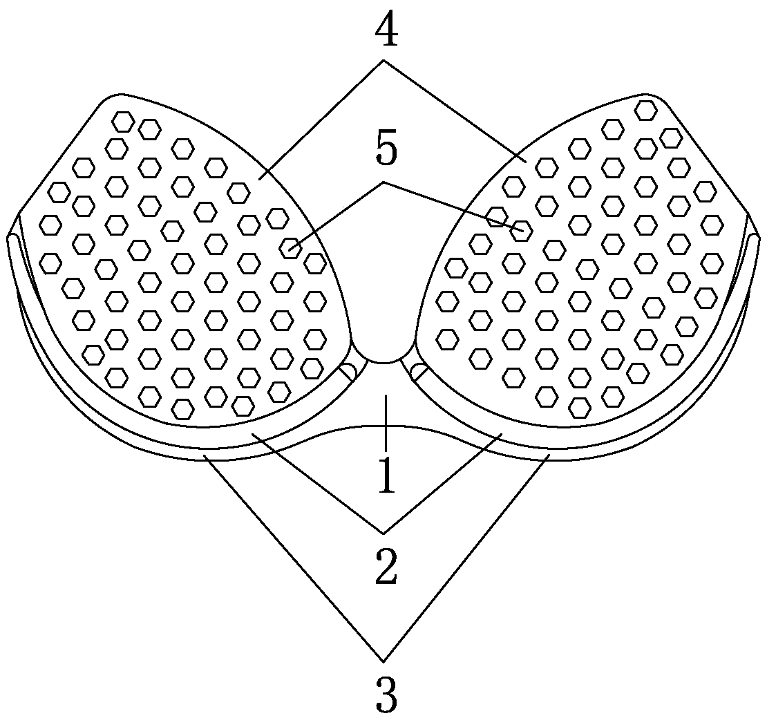 A bra, its preparation method, a bra using the bra, and its preparation method