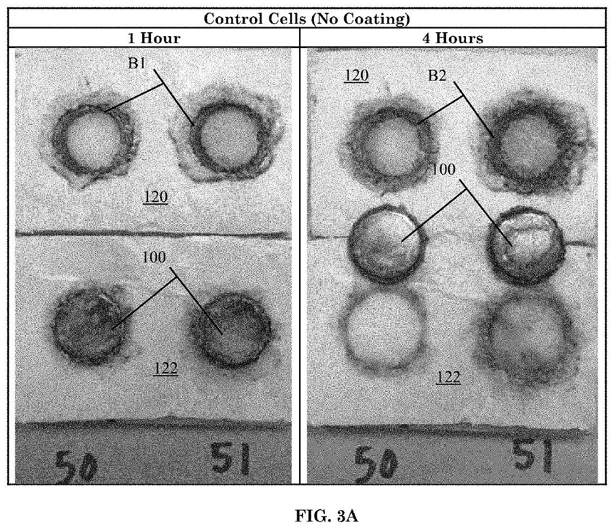 Coatings for mitigation of coin cell ingestion