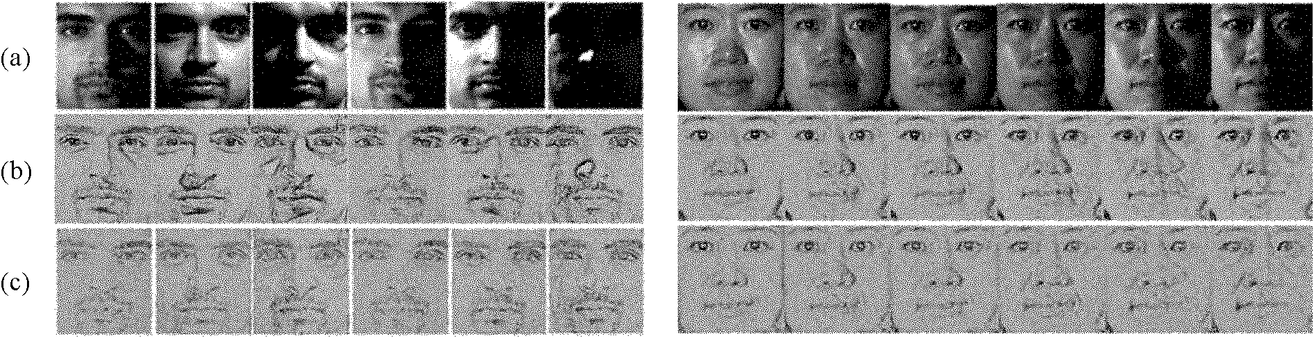 Method for obtaining human face illumination invariant images based on multiscale anisotropic diffusion