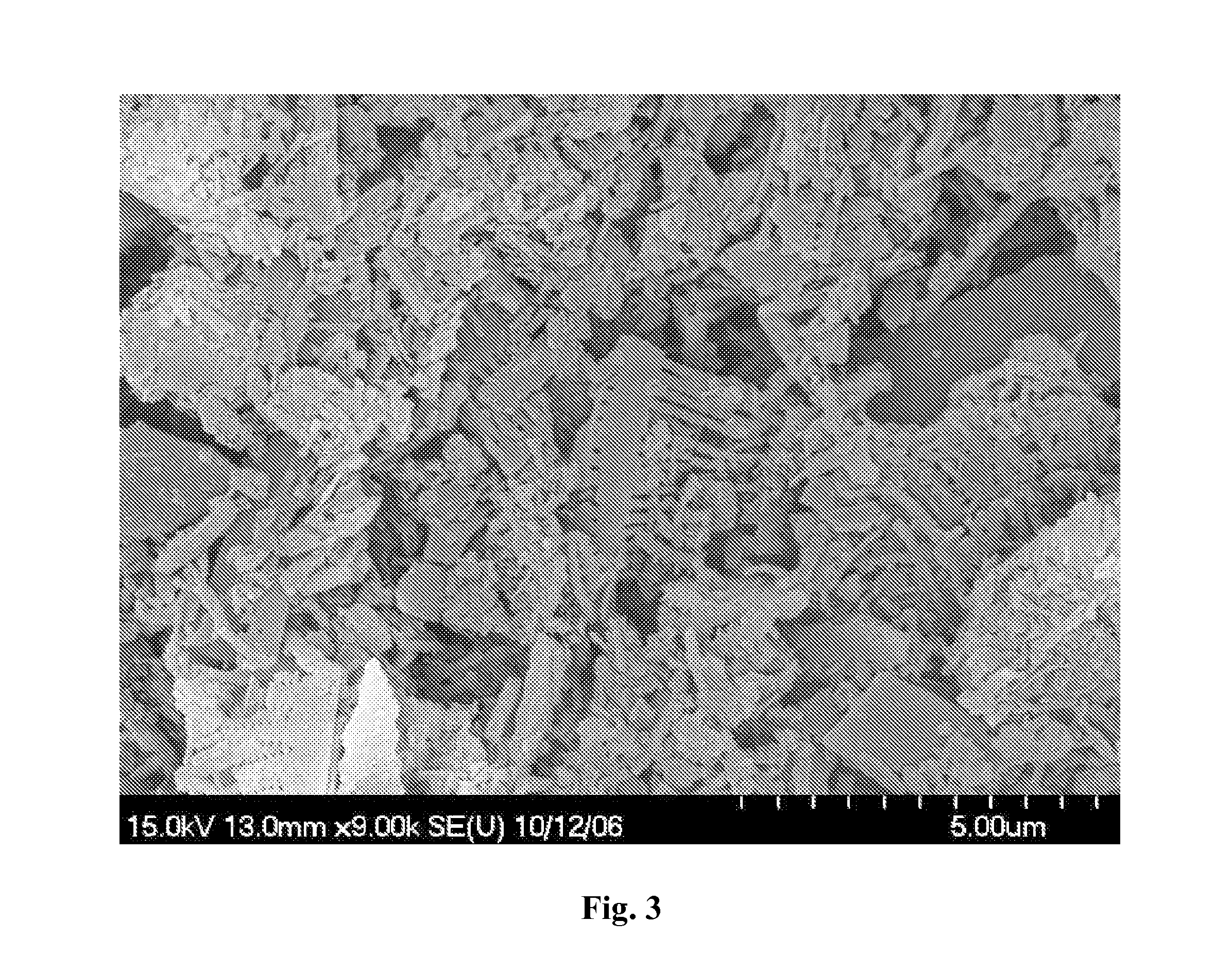 Superhydrophobic, diatomaceous earth comprising bandages and method of making the same