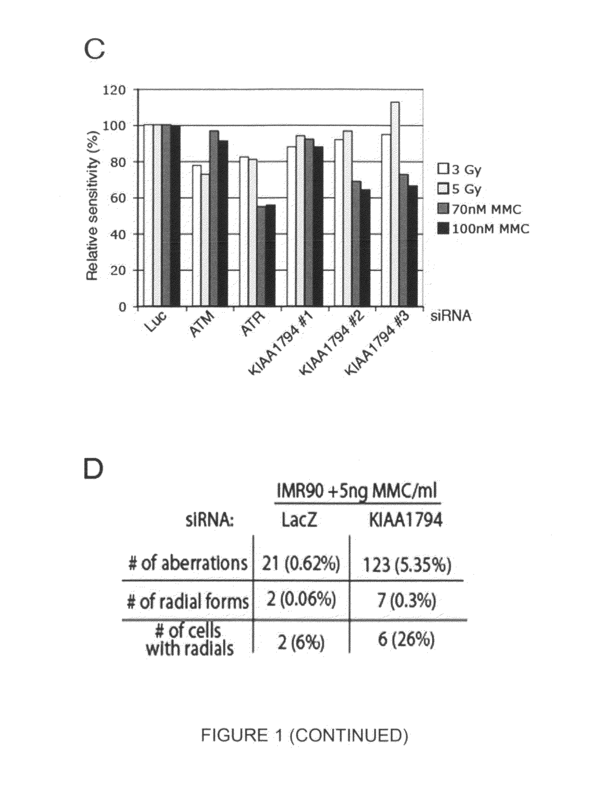 Prognostic, diagnostic, and cancer therapeutic uses of FANCI and FANCI modulating agents