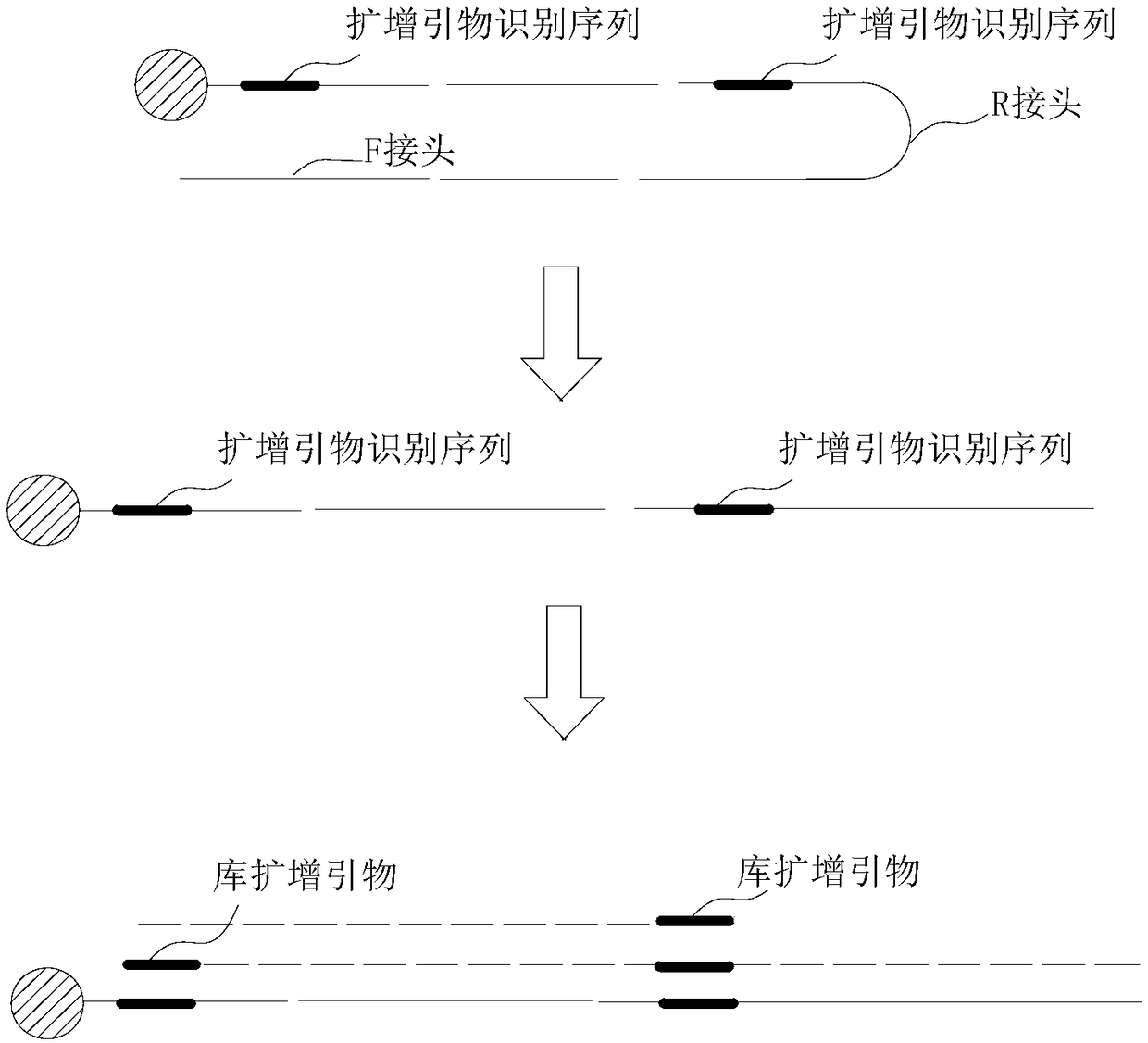 KRAS gene detection kit and detection method