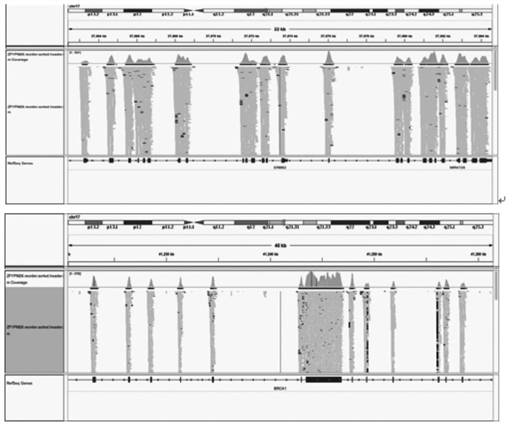 Probe library and kit for detecting lung cancer related 41 genes and application thereof