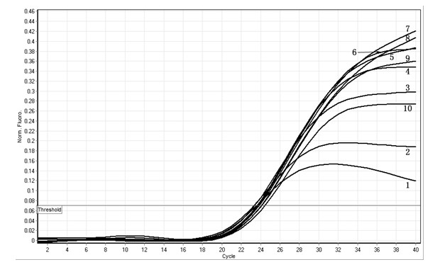 Real-time fluorescence quantitative PCR (Polymerase Chain Reaction) detection kit for BDV (Borna Disease Virus) p24 segment