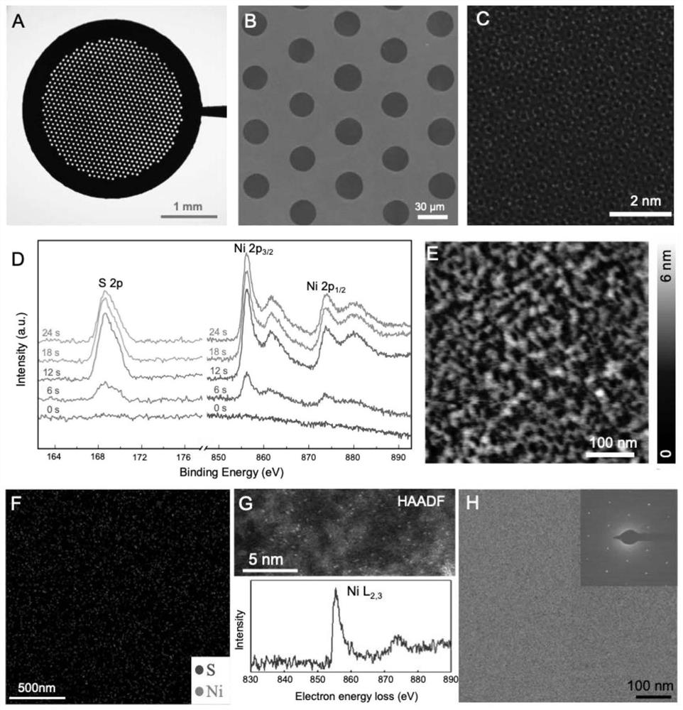 Multifunctional graphene grid and preparation method thereof