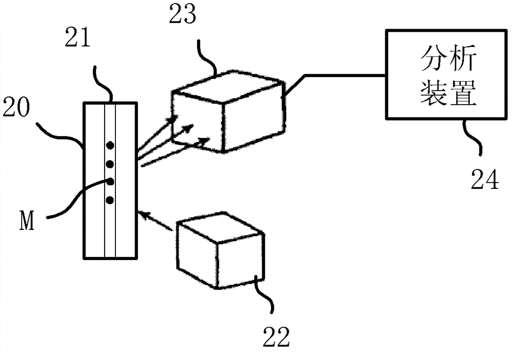 Fluorescence detection system and cell analyzer