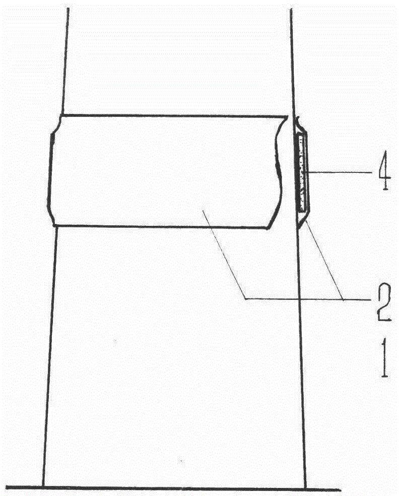 Method for controlling insect pests by winding medicine strip on tree trunk in ring shape