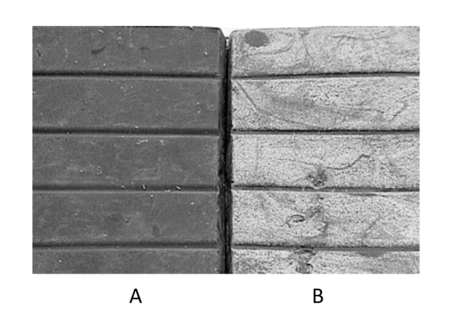 Non-invasive MRI system for analyzing quality of solid food products enveloped by flexible aluminum foil wrapper and methods thereof