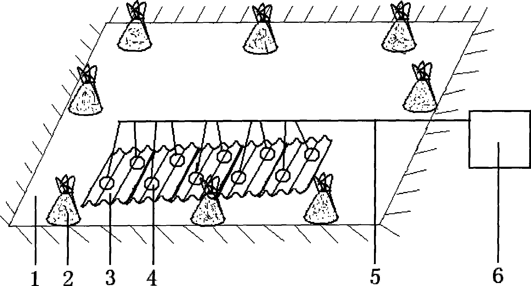 Large-scale cultivation method for summer fingerlings of Pelteobagrus fulvidraco