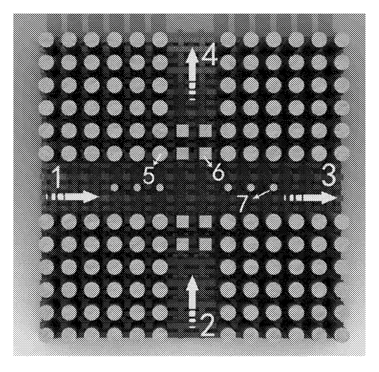 Cross-shaped infrared polarized light bridge based on photonic crystal waveguide