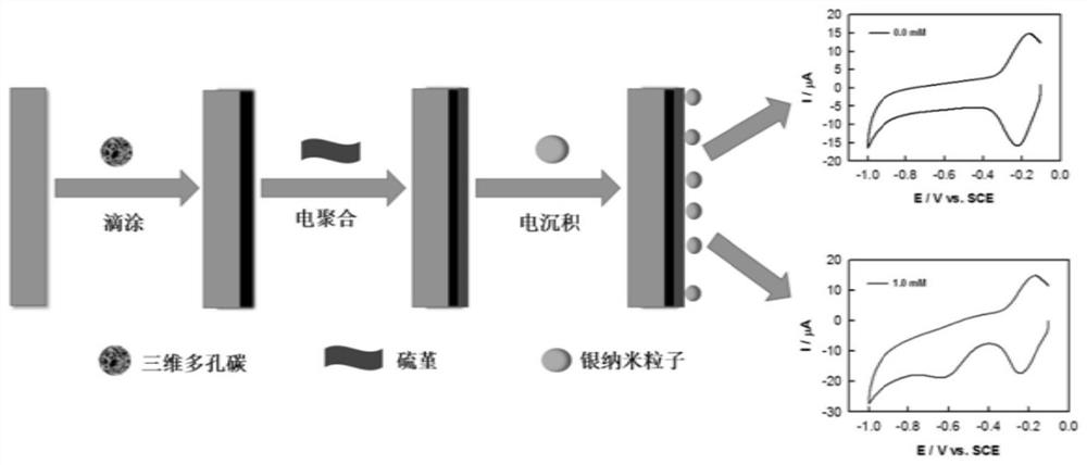 An electrochemical sensor and its preparation and application