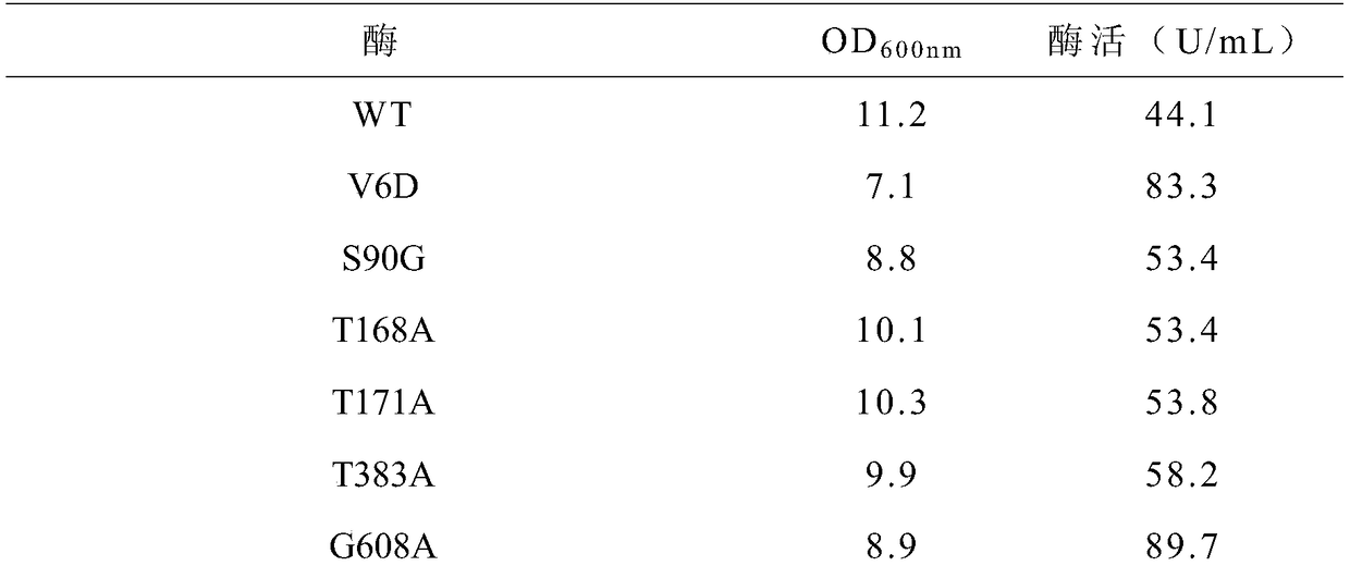 Cyclodextrin glucosyl transferase enzyme mutant