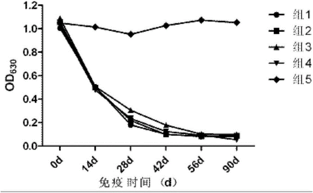 A swine pseudorabies virus variant XF-1 strain, a preparing method thereof and applications of the strain