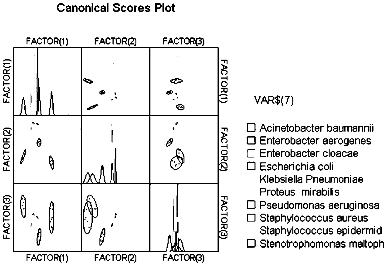 Organism identification method based on membrane-bound complex