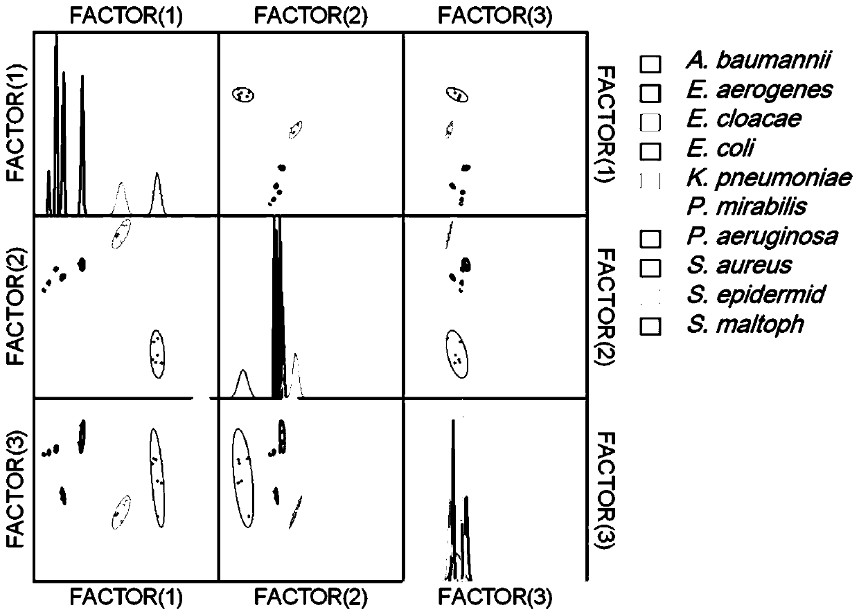 Organism identification method based on membrane-bound complex