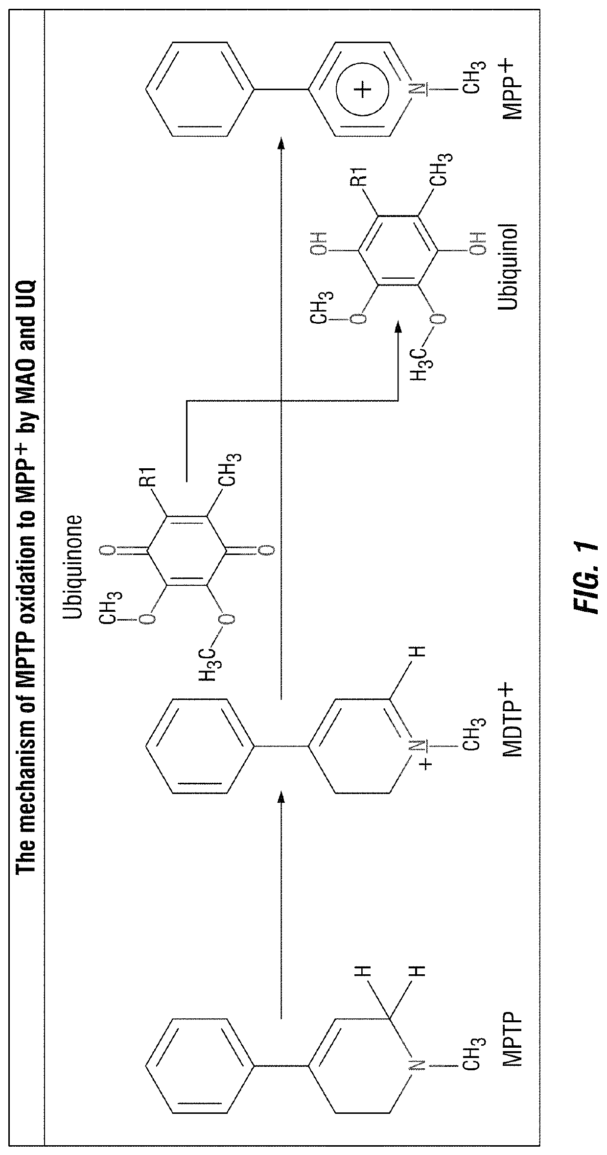 Chemotherapeutic compositions and methods for treating human gliomas